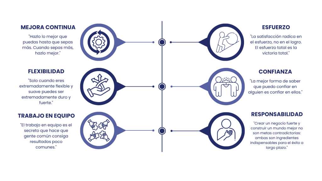 valores grupo ips
